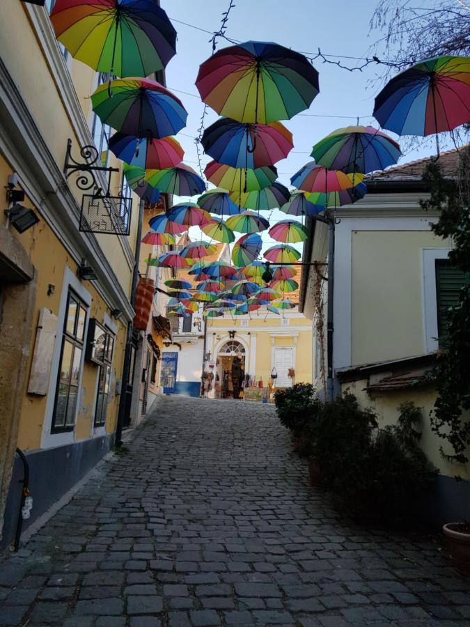 Szoecske Guesthouse In The Danube Bend Near Budapest Szentendre Exterior foto